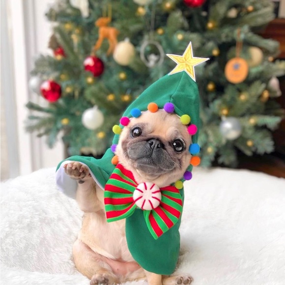 Happy Poshing - Picture 5 of 14